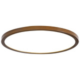 ceiling light